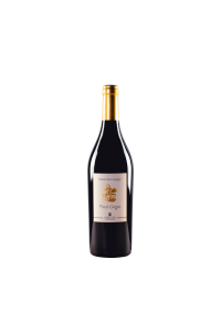 Pinot Grigio Ticino DOC BIO in conversione