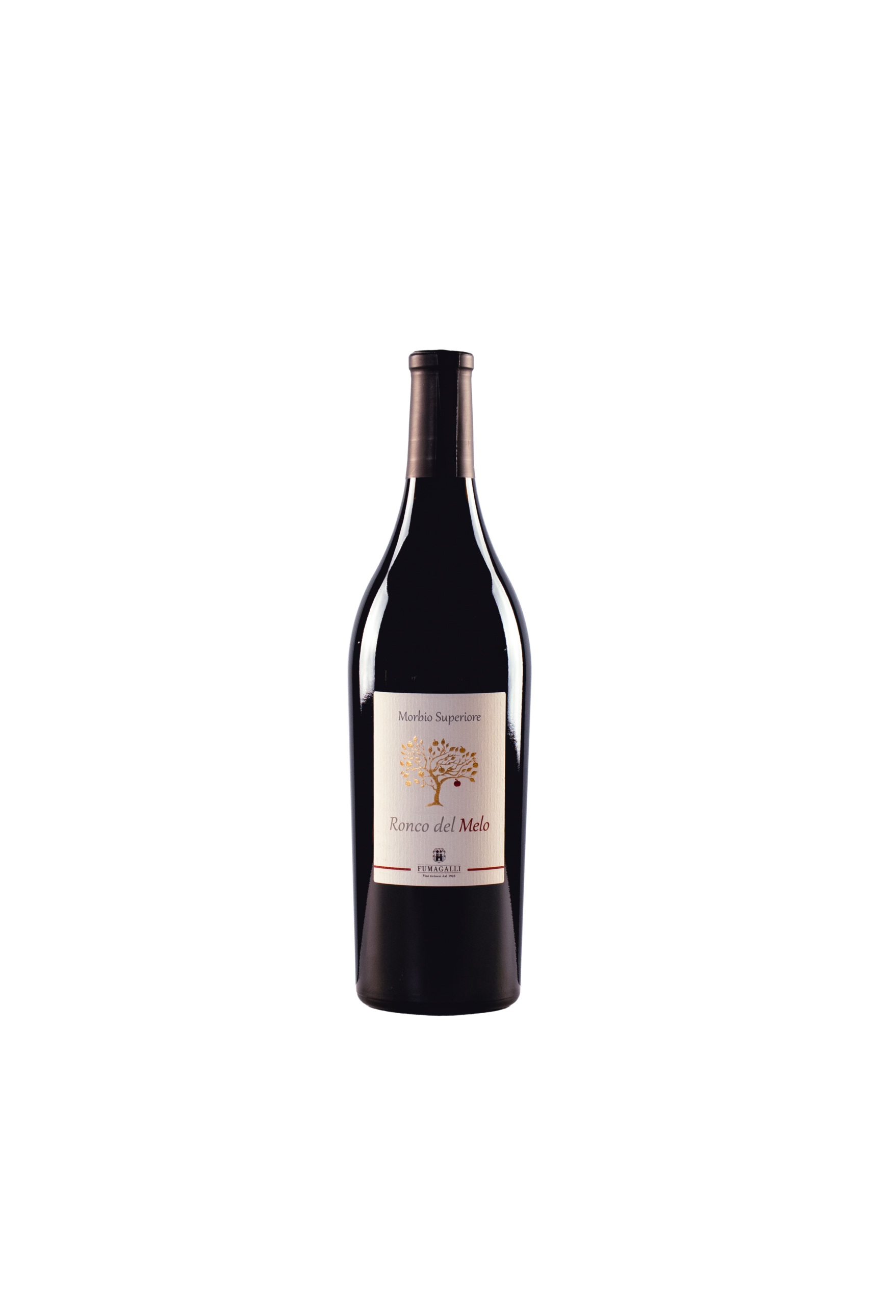 Ronco del MELO Ticino DOC Merlot Bio in conv.