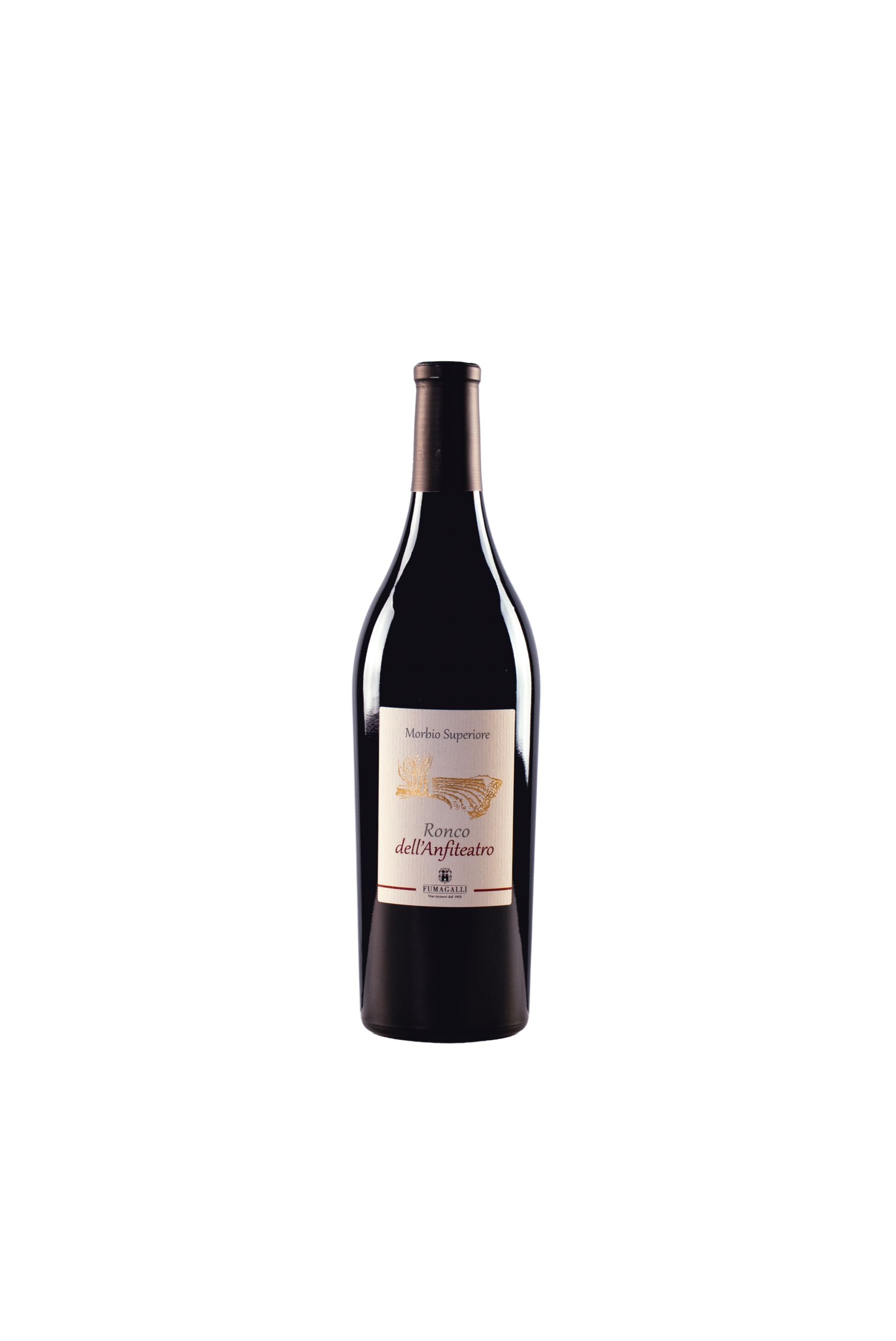 Ronco dell'ANFITEATRO Ticino DOC Merlot Bio in conv.